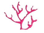 Corail